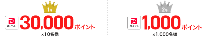 1等:PayPayポイント30,000ポイント×10名様 2等:PayPayポイント1,000ポイント×1,000名様
