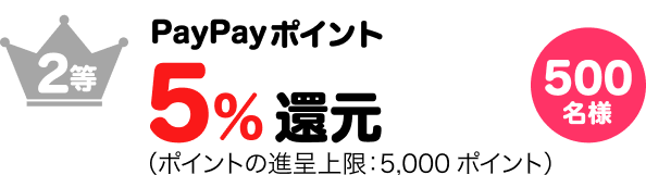 2等5%ポイント還元500名様（ポイントの進呈上限：5,000ポイント）