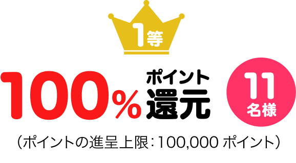1等100%ポイント還元11名様(ポイントの進呈上限:100,000ポイント)