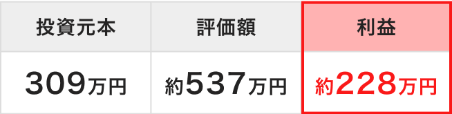 投資元本 評価額 利益