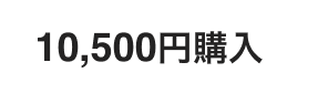 10,500円購入