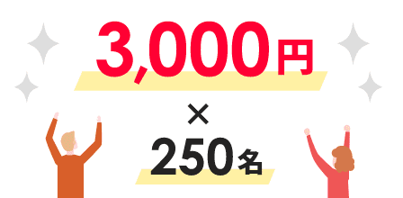 3,000円×250名