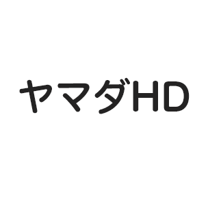 ヤマダHD